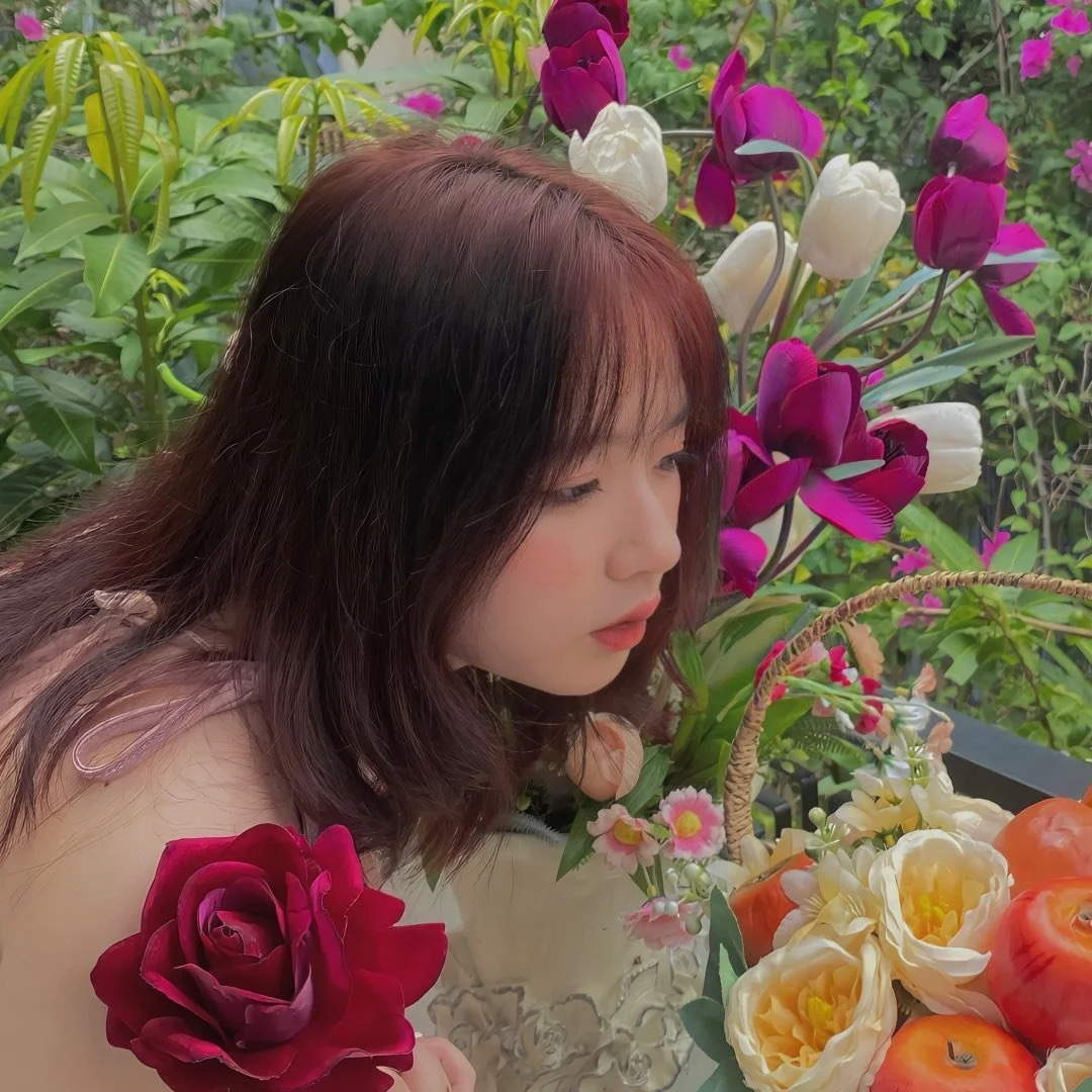 minh họa